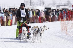 Lenk 2013